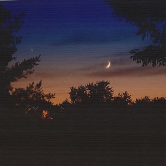 Meet your Posher, Leonora - Picture 1 of 1